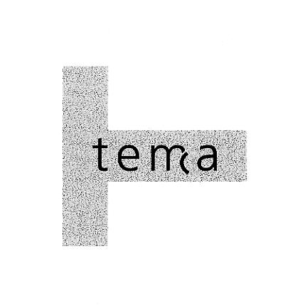 Prekės ženklas: tema T